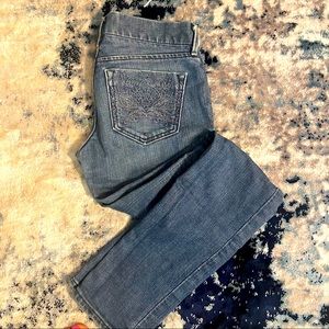 Skinny low rise embroidered jeans